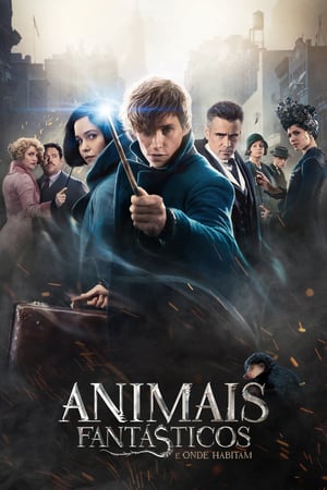 genre-image
